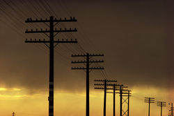 I Mercoled� della Scienza - La promessa della energia rinnovabili