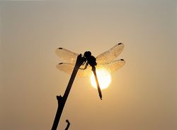 �Il Parco della Galleana�