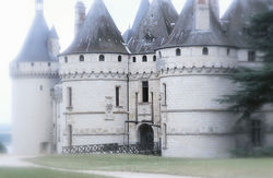 Tra Shakespeare e Purcell, dal Teatro alla Fairy: due linguaggi per una fiaba. 