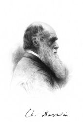 La teoria dell'evoluzione oggi e i suoi nuovi nemici