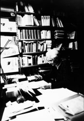 Studi Piacentini n� 37