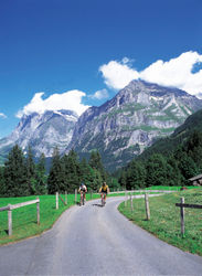 �Tour delle cinque nazioni�