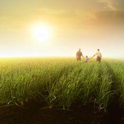 Volando sul futuro dell�agricoltura