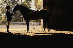 Riabilitazione Equestre: presente e futuro