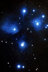 Siamo fatti di stelle