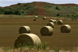 Gestione tecnica e amministrativa del territorio in agricoltura