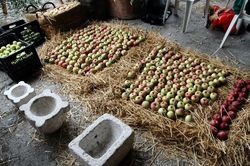 FAI di Piacenza - Giornata di Primavera, Frutti Antichi, Premio Restauro