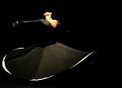 Masterclass dellartista turco ZIYA AZAZI per gli allievi delle scuole di danza 