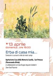 Erba di casa mia...