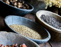 Alle origini della dieta