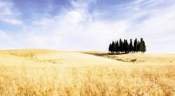 Agrisystem, alta specializzazione per i dottori della terra