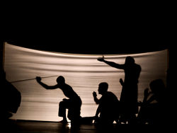 Dal racconto al teatro dombre