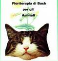 Floriterapia di Bach