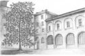 “SALUTO d’ESTATE”