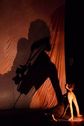 L’OMBRA E IL SUO DOPPIO - Il corpo nel teatro d’ombre contemporaneo