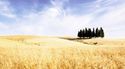 Agrisystem, alta specializzazione per i “dottori” della terra