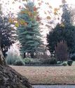 Giardini Aperti - Villa San Raimondo